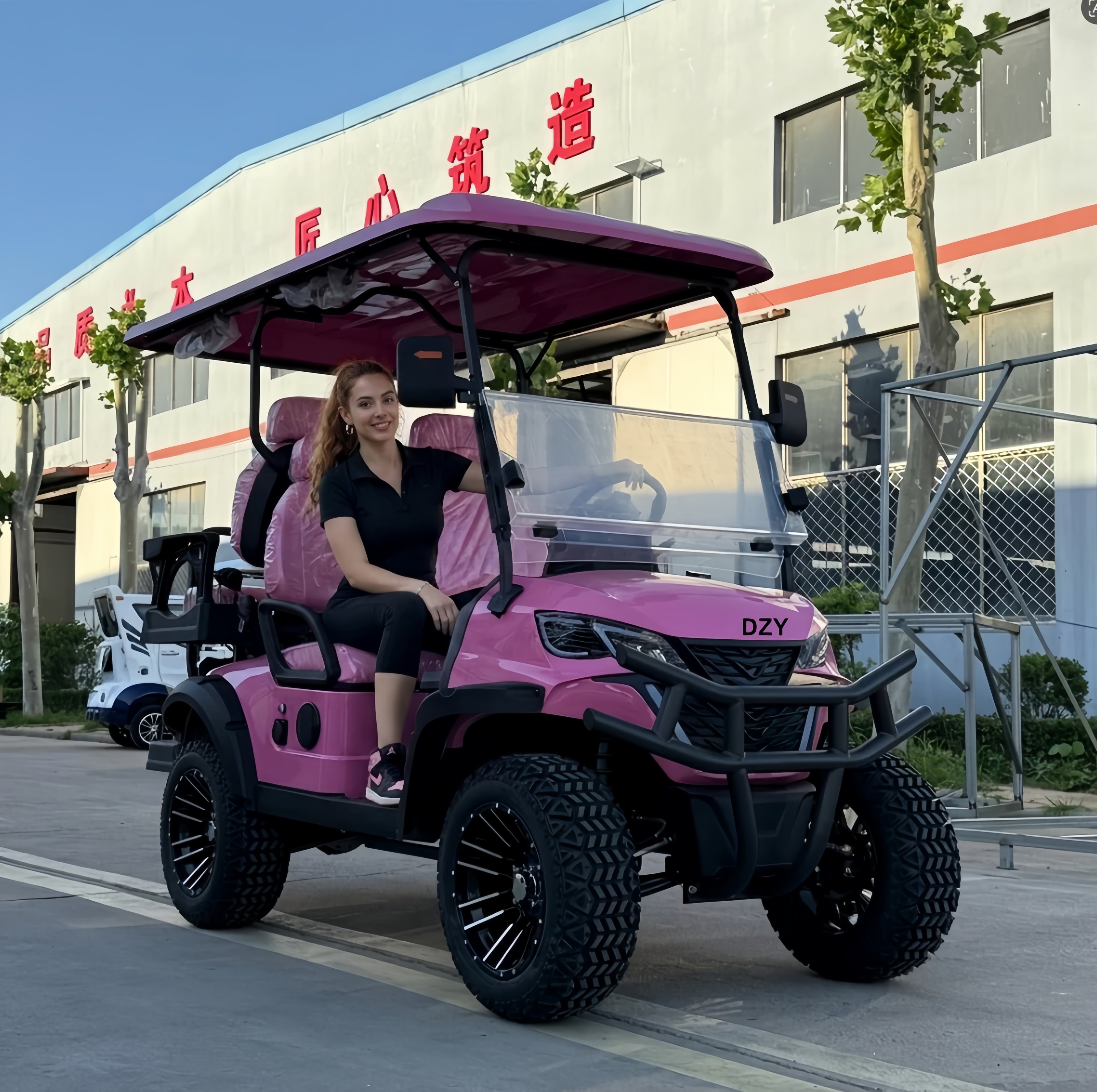 Golf Equipment Price - High Power Customized 4-Seater Electric Golf
