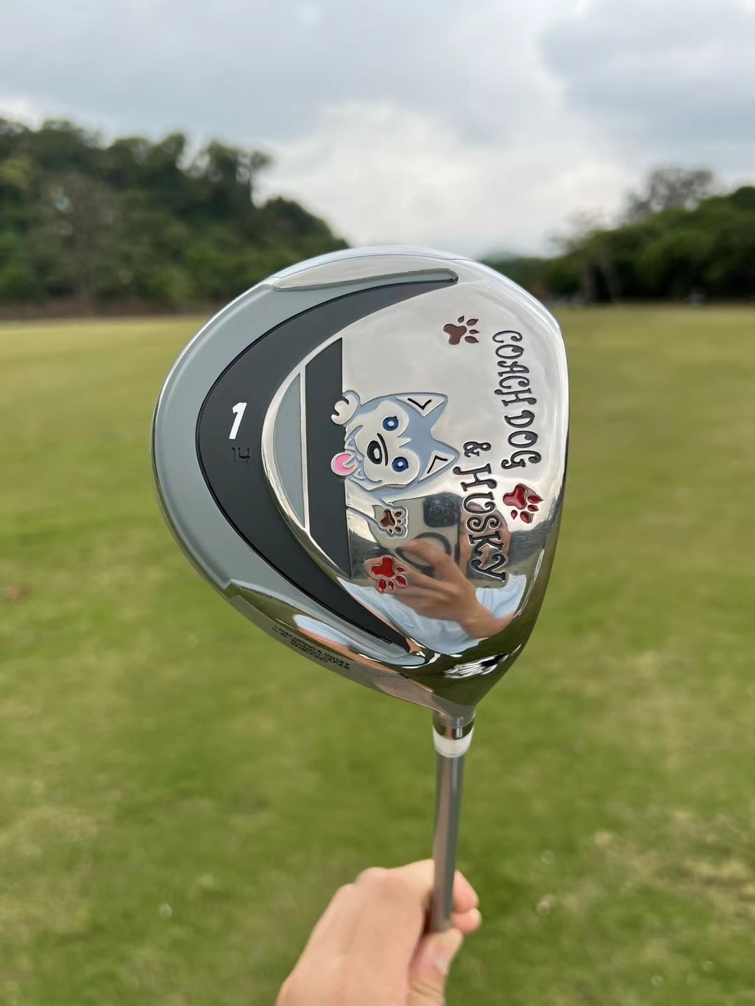 Happy dog ​​cartoon image golf - Golf Equipment Junior recensione e prezzo