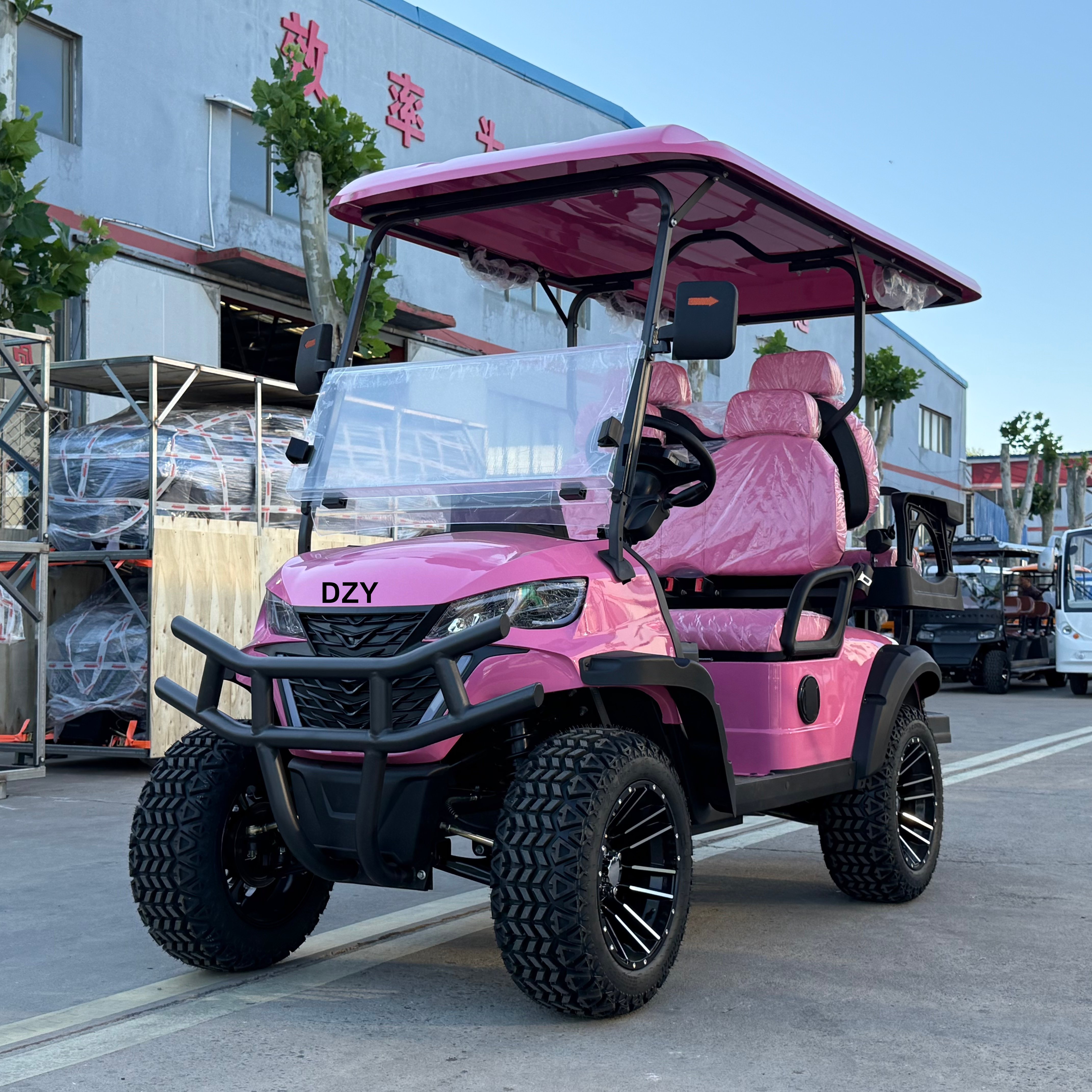 High Power Customized 4-Seater - Golf Equipment Price recensione e prezzo