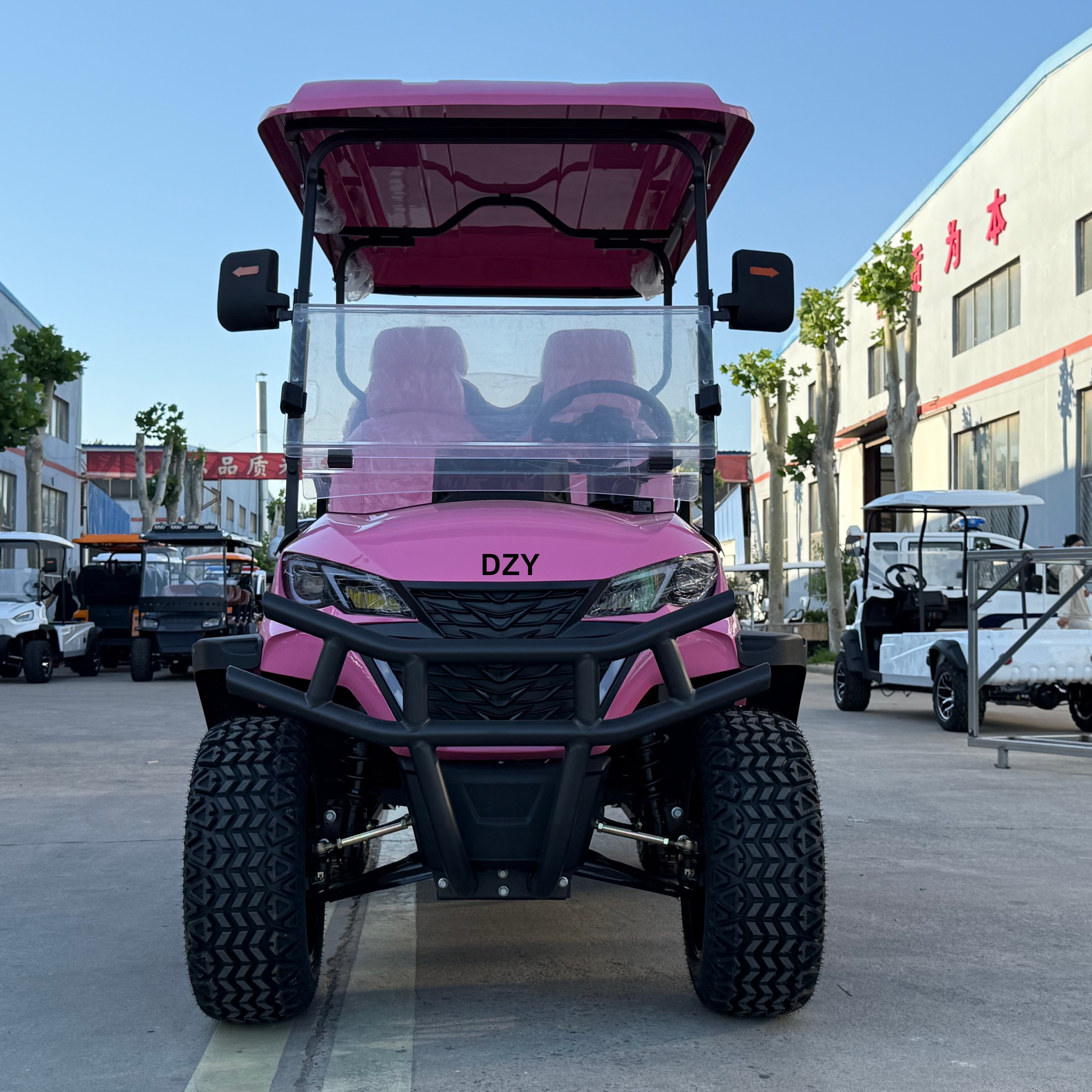 High Power Customized 4-Seater - Golf Equipment Price recensione e prezzo
