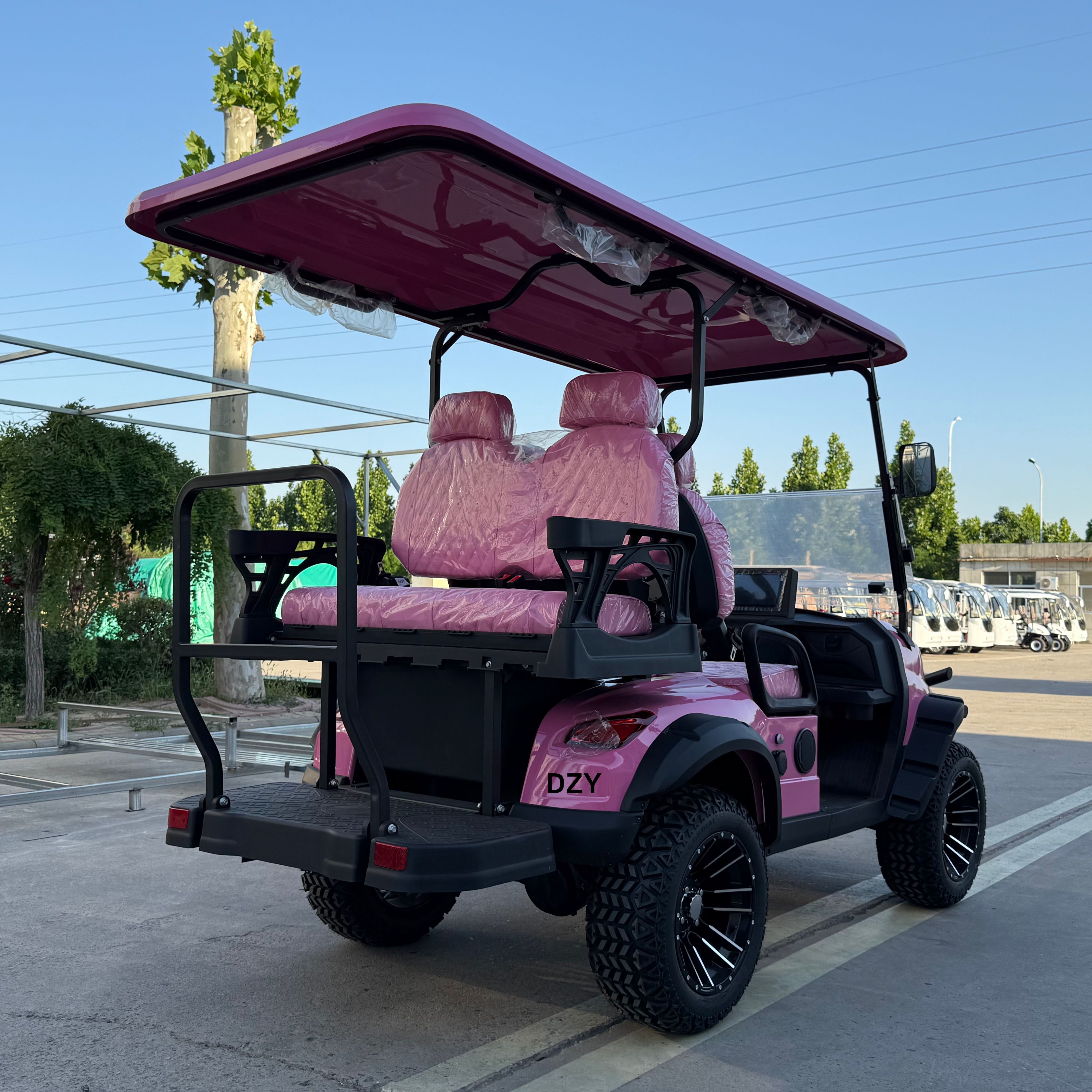 High Power Customized 4-Seater - Golf Equipment Price recensione e prezzo